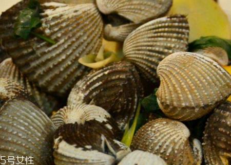 毛蚶和血蚶的区别 毛蚶和血蚶哪个好吃