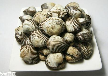 毛蚶和血蚶的区别 毛蚶和血蚶哪个好吃