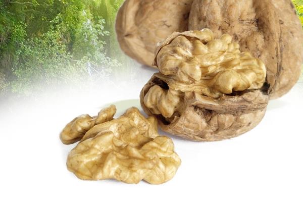 核桃为什么这么贵 原因有三 核桃为什么这么贵 原因有三