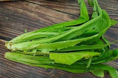 ​油麦菜孕妇可以吃吗 油麦菜对孕妇有什么好处