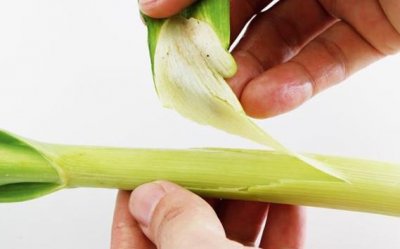 ​蒜苗怎么摘？蒜苗怎么处理