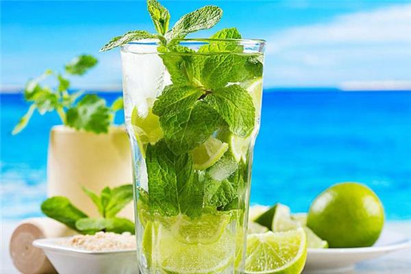 薄荷茶可以减肥吗 有效分解油腻