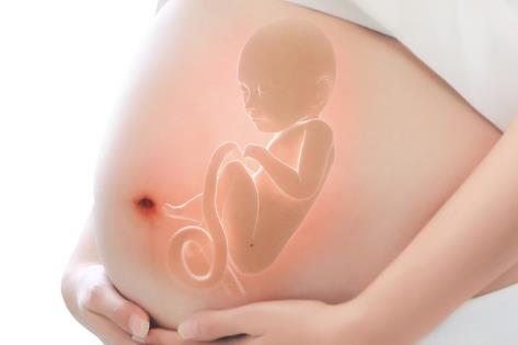 茶油能给孕妇吃吗 特别适合孕妇吃