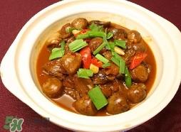 来月经可以吃狗肉吗?经期吃肉狗好吗