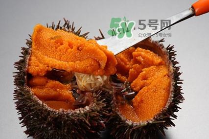 海胆怎么处理?海胆可以生吃吗? 海胆怎么处理?海胆可以生吃吗?