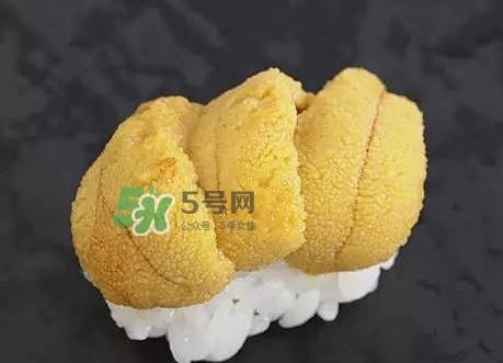 海胆怎么处理?海胆可以生吃吗? 海胆怎么处理?海胆可以生吃吗?