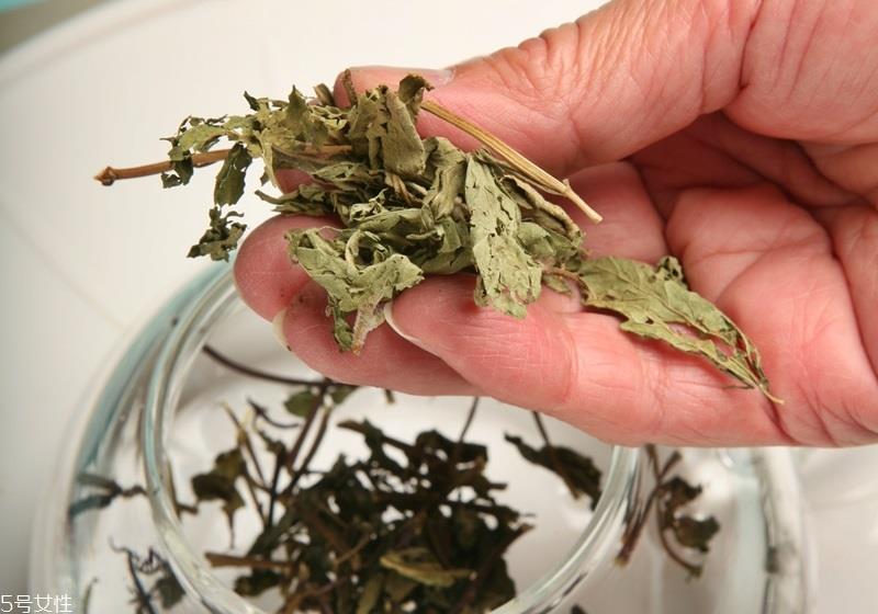 喉咙沙哑喝什么好 3款养喉热饮 喉咙沙哑喝什么好 3款养喉热饮