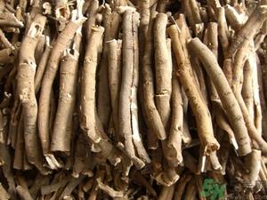 牡丹皮可以经常吃吗?牡丹皮的功效与作用