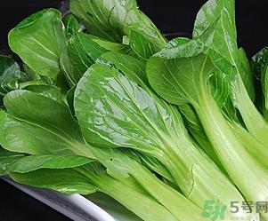 青菜可以放冰箱吗?青菜能放冰箱保鲜吗? 青菜可以放冰箱吗?青菜能放冰箱保鲜吗?