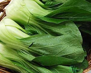 青菜可以放冰箱吗?青菜能放冰箱保鲜吗? 青菜可以放冰箱吗?青菜能放冰箱保鲜吗?