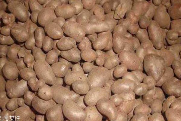 山药豆和山药有什么关系 山药豆的好处有什么 山药豆和山药有什么关系 山药豆的好处有什么