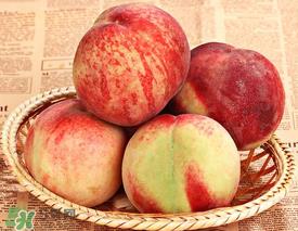 雪桃什么时候成熟?丽江雪桃什么时候成熟? 雪桃什么时候成熟?丽江雪桃什么时候成熟?