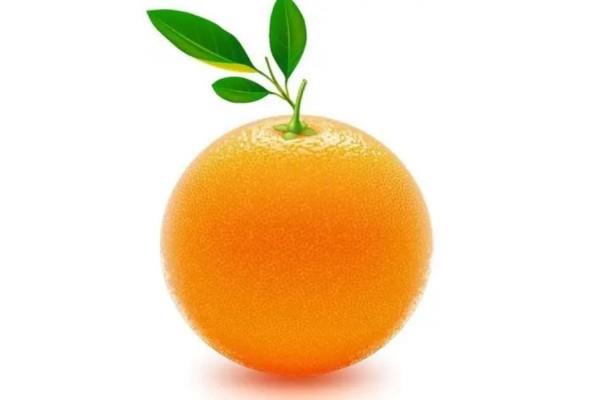 橙子怎么保存时间长 橙子可以放冰箱保鲜吗 橙子怎么保存时间长 橙子可以放冰箱保鲜吗