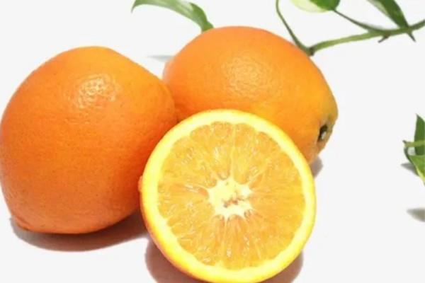 橙子怎么保存时间长 橙子可以放冰箱保鲜吗 橙子怎么保存时间长 橙子可以放冰箱保鲜吗