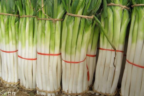 大葱能多吃吗 适量最好