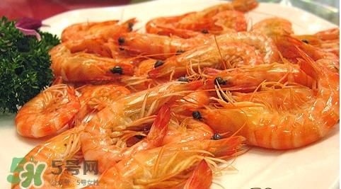 九节虾如何保存？九节虾要怎么保存