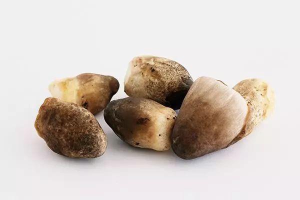 草菇孕妇能不能吃 草菇孕妇吃有什么好处