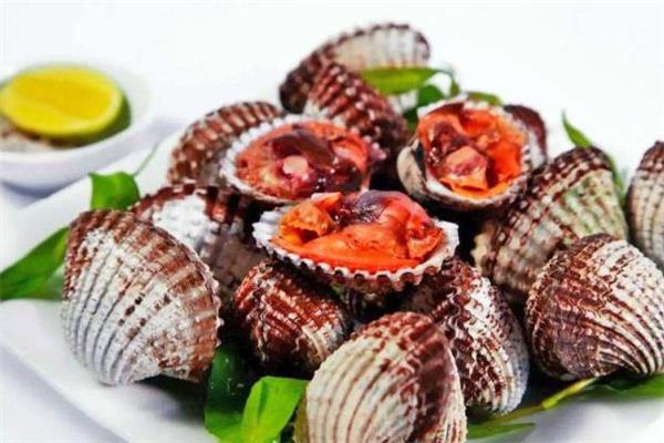 血蚶怎么保存 血蚶可以放过夜吗 血蚶怎么保存 血蚶可以放过夜吗