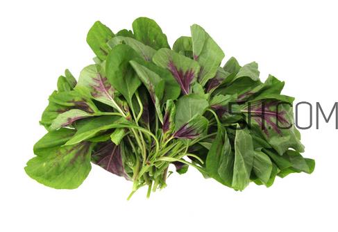 上火能吃咸苋菜吗?宝宝能吃苋菜吗? 上火能吃咸苋菜吗?宝宝能吃苋菜吗?