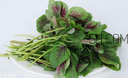 上火能吃咸苋菜吗?宝宝能吃苋菜吗? 上火能吃咸苋菜吗?宝宝能吃苋菜吗?