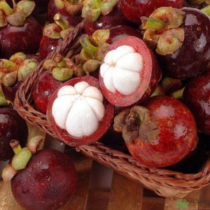 ​山竹可以和牛奶一起吃吗？山竹和牛奶一起吃好吗？