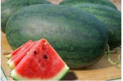 ​什么是黑美人瓜呢 黑美人瓜有什么作用呢