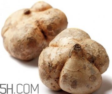 ​白地瓜怎么存放 白地瓜能放多久