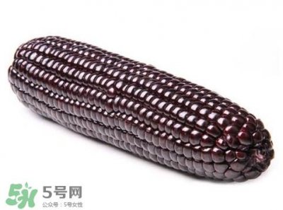 ​紫玉米会掉色吗？紫玉米怎么会掉色？