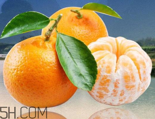 蜜桔什么时候上市 蜜桔什么时候成熟 蜜桔什么时候上市 蜜桔什么时候成熟