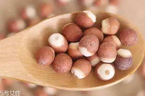 芡实什么时候收获 采收季节为白露霜降之间 芡实什么时候收获 采收季节为白露霜降之间