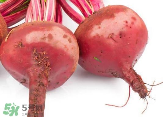 甜菜根可以生吃吗?甜菜根和什么榨汁好喝 甜菜根可以生吃吗?甜菜根和什么榨汁好喝