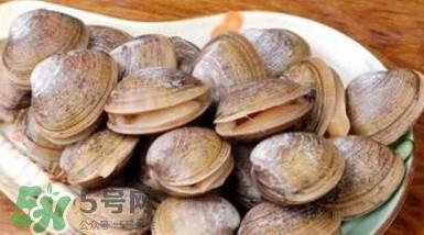 蚬子怎么吐沙子?蚬子怎么洗才干净 蚬子怎么吐沙子?蚬子怎么洗才干净