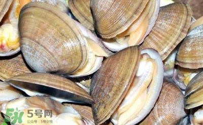 ​蚬子怎么吐沙子？蚬子怎么洗才干净