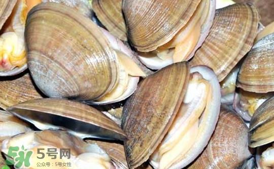 蚬子怎么吐沙子?蚬子怎么洗才干净 蚬子怎么吐沙子?蚬子怎么洗才干净