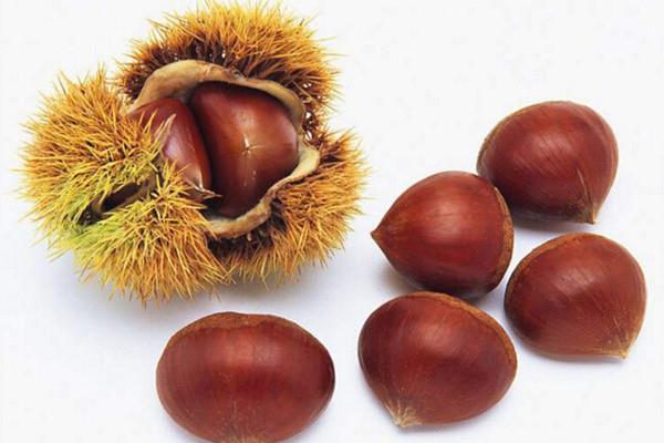 板栗的营养价值高吗 板栗对身体有哪些好处