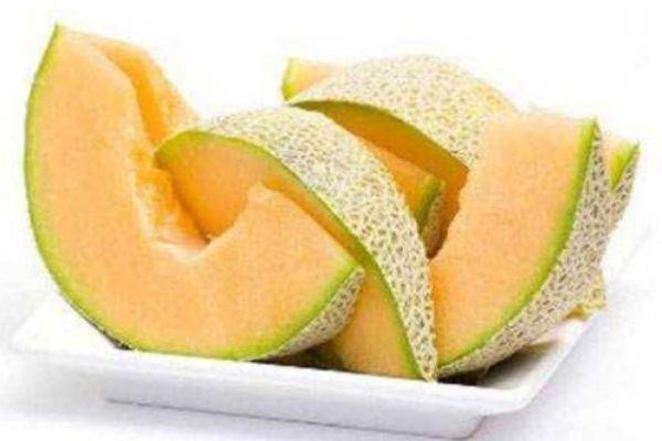 常吃哈密瓜会变胖吗 哈密瓜的含糖量高吗 常吃哈密瓜会变胖吗 哈密瓜的含糖量高吗