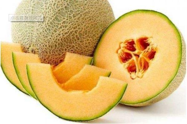 常吃哈密瓜会变胖吗 哈密瓜的含糖量高吗 常吃哈密瓜会变胖吗 哈密瓜的含糖量高吗