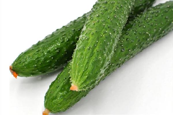 黄瓜是什么季节的蔬菜 黄瓜什么时候吃最好
