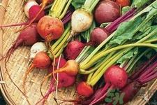 女性吃甜菜能排毒吗？甜菜怎么吃最好？