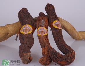 锁阳和肉苁蓉一起泡酒可以吗？肉苁蓉和锁阳的区别