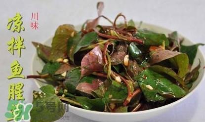 吃鱼腥草可以喝酒吗？吃鱼腥草能喝酒吗