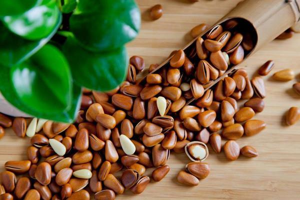 松子的营养价值 松子有什么功效