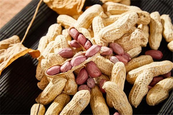 花生能治胃病吗 花生养胃还是伤胃
