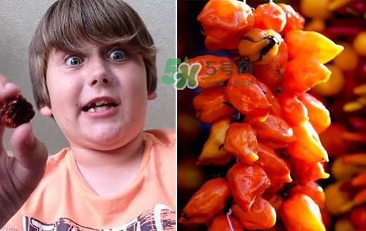 死神辣条什么做的？死神辣条辣死过人吗