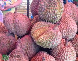 红心榴莲好吃吗？红心榴莲和普通榴莲哪个好吃?