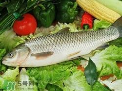 吃草鱼可以暖胃吗?草鱼怎么吃最暖胃?
