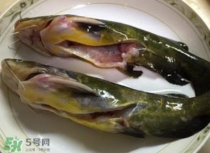 黄辣丁多少钱一斤？野生黄辣丁多少钱一斤