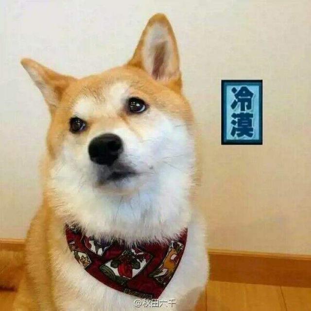 沈月小号好吃懒做胡一天初中高冷却胖,两人戏下也是天生一对啊!