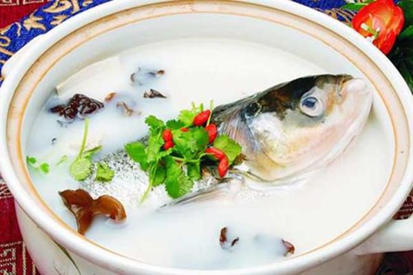 煮鱼汤是用热水还是冷水 鱼汤怎么能煮白