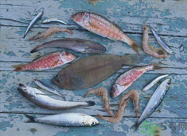 南瓜同鱼能一起吃吗？南瓜和鱼一起吃好吗？